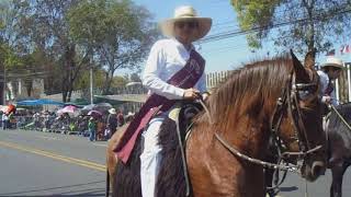 SETIMODIA SEMANARIO: ASOCIACION DE CRIADORES DE CABALLO DE PASO SALUDAD A LA CIUDAD BLANCA POR S