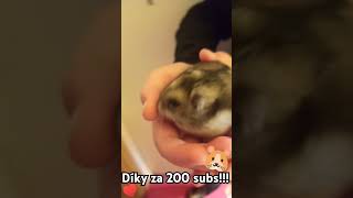 🎉🎉🎉moc vám děkuji za 200 subs!!!🎉🎉🎉 #music #memes #funny #love #cute