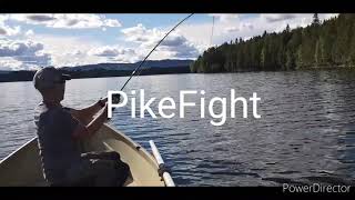 Pike fly fishing fight!