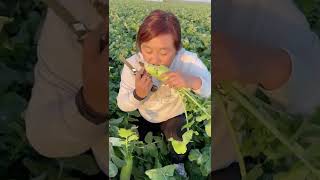 Satisfaying videos of agriculture growing fruit, vegetable, carrot, corn, onion etc #Short 2