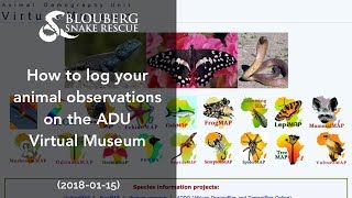 How to log your animal observations on the ADU Virtual Museum (20180115)