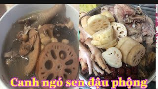 Canh ngó sen nấu với đậu phộng thịt heo   Easy Lotus Root with Peanuts＆Chicken Feet Soup莲藕花生鸡脚汤