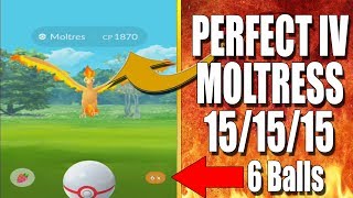 PERFECT IV MOLTRESS - POKEMON GO 15/15/15 100% IV | EXTREMELY RARE ENCOUNTER!!