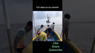 मुशी आणि पापलेट मासेमारी || Mumbai fishing || all-rounder fishing net.#fishing #agrikoli #shorts