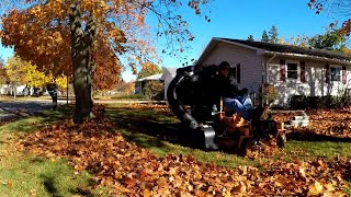 2 leaf cleanups without moving