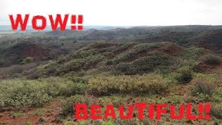 Beautiful Hidden Gem in Black Kettle National Grasslands P.2