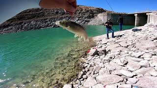 At Çek ile Siraz Balığı Avı