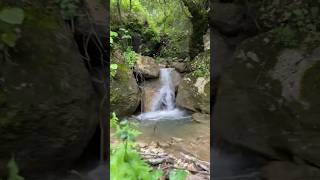 Ахвахский район Водопады | Местерух — Тукита