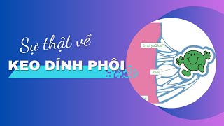 #11 Sự thật về keo dính phôi