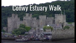 Conwy Estuary Walk