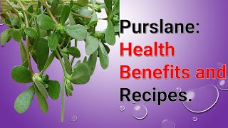 Purslane: Health Benefits and Recipes.