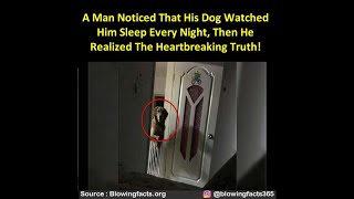 A Man Noticed That His Dog Watched Him Sleep Every Night, Then He Realized The Heartbreaking Truth!