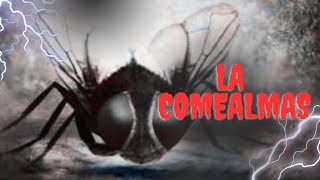 LA COMEALMAS "LA MOSCA ALAS AZULES"