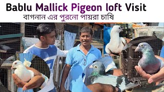 Bablu Mallick pigeon loft Visit ||বাগনান এর পুরনো পায়রা চাষি ||Old Madrasi Pigeon breed