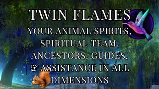 SIGNS - A TIMELESS Message! #twinflameunion #divinemasculine #signsfromuniverse #animalspirit