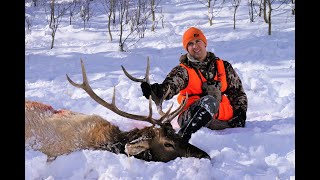 2020 Colorado Deer and Elk Hunt