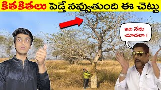 KITHA KITHALA TREE🤣| TOP INTERESTING & AMAZING TELUGU FACTS | TELUGUDOST #125