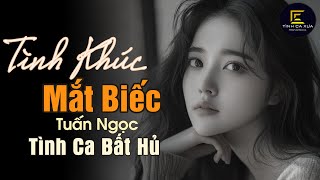 Mắt Biếc (Tình Ca Để Đời) - Tuấn Ngọc x Tình Ca Xưa