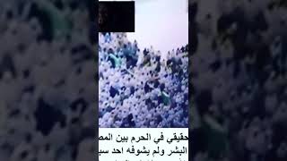 ظهور الجن المسلم في الحرم #عالم_الجن #مغامرات_ورعب #viral #السعودية #cricket