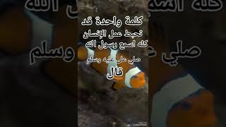 سبحان الله #اماني_صابر #لايك_اشتراك_بالقناه_ليصلك_كل_جديد