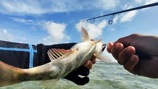 KANUPING | EMPEROR FISH Lang Sakalam|Ultralight Fishing Philippines