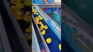 Cute little ducks #cute #video #viralvideo #ducks #viral #shorts #youtubeshorts #funny #funnyvideos