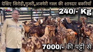 ₹7000@How to start goat/farming |(@India’s largest goat farming)@Shree goat farm