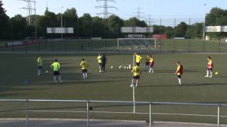 Fussballtraining mit Peter Hyballa - Positionsspiele mit Balljagd und Felderwechsel (3)