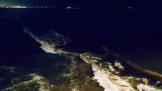 Southern California bioluminescence on ocean waves #6 #bioluminescence