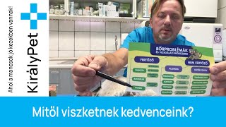 Mitől viszketnek kedvenceink? - fb LIVE