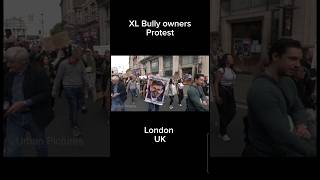 XL Bully owners mount fierce protest in London today against plan to ban their dogs.#shorts #fypシ