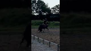 Spicy pony🌶 #horse #pony #equestrian #spicy #shortvideo