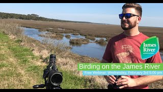 Birding on the James