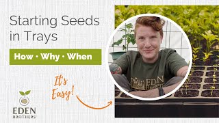 How to Start Seeds In Trays