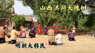 明朝大移民，1230个姓氏从洪洞大槐树下迁走，情景再现，感人泪下