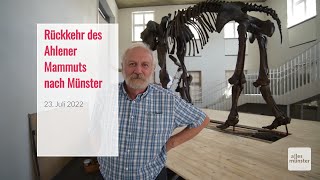 Rückkehr des Mammuts | ALLES MÜNSTER