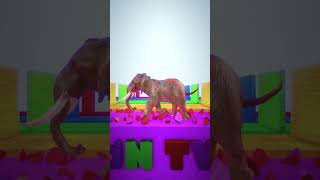 Wild Animals Wall Broken Game With Elephant 🐘 #shorts