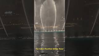 The Dubai Fountain Show Amazing Water Show and Amazing Music #thedubaifountain #shorts #reelsvideos