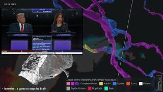 twitch.tv/trumporkamala2024 - AI Trump vs Kamala chat interactive debate