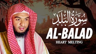 Surah Al Balad || Hafez Kamrul Alom سورة البلد حافظ قمرالعالم