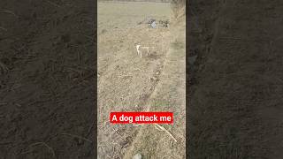 A dog Attack me #foryou #youtubeshorts