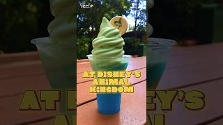 Zazu Dole Whip Float for The Lion King 30th Anniversary - #disneyworld