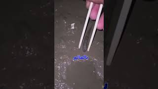 اسرع حيوان بالعالم 😲  #shortsvideo #youtubeshorts #funny #memes #youtube