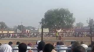 Jhiri mela 2017 dangal