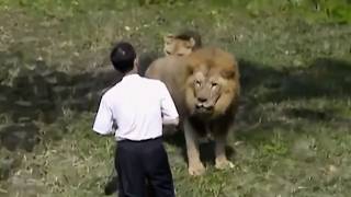 When Zoo Animals Attack I Terrifying Moments Caught on Camera