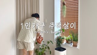 집에서 더 바쁜 한여름의 주택살이