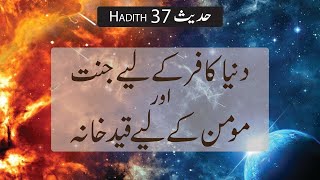 Duniya Kafir K lIye Jannat Hai || Duniya Momin K Liye Qaid Khana Hai ||