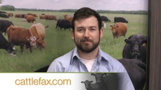 CattleFax Closing Bell: Fed Cattle Outlook