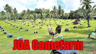 Lets Visit The Farm Of JDA Gamefarm