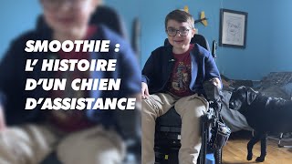 Reportage | Smoothie : l'histoire d'un chien d'assistance